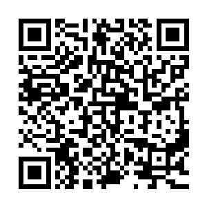 但当文森特看到那依旧在专心致志破解控制基地大门的杨凌时二维码生成