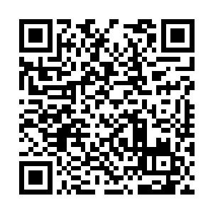 但当时的敖和塔确实认为只要拼一把就能逃离出去二维码生成