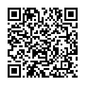 但很快又恢复了那张没有任何表情和情感波动的钢铁面孔二维码生成