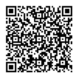 但总有一些在中土大地上混不下去的游侠儿或者游寻宝者希冀在蒙哥利亚荒原上来碰碰运气二维码生成