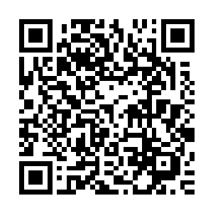 但想要活捉一只金狼再把那只金狼带到三十里以外的野狼城堡二维码生成