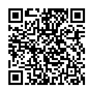 但我保证全文的任何一个情节转折和安排肯定都是我自己的想法二维码生成