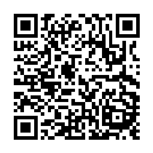 但我还是得告知诸位一声……你们几位在六年前就已经死了二维码生成