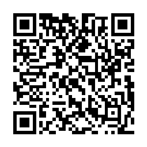 但手段狠辣……当时我正与掌门商量下一次秘境的人选二维码生成