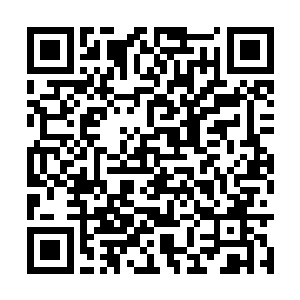 但披到我的肩膀上立刻抵御了江南冬日的淡淡微凉二维码生成