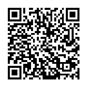 但放在上古时代却也不过只是无数洪水凶兽中一条不起眼的小蛇二维码生成
