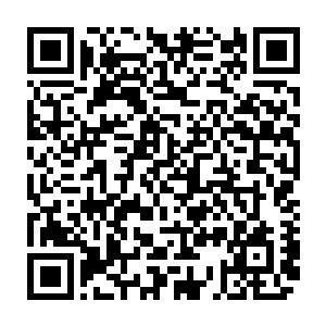 但放弃这个档期也是不可能的――任何一个时间点都会有观众走进电影院二维码生成