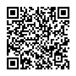 但时尚界的首映嘉宾们唇角则纷纷露出了高冷又不屑的微笑二维码生成