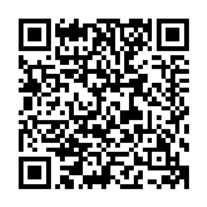 但是……吸收再多的精灵宝钻他也感受不到实际上丝毫的提升二维码生成