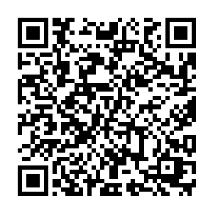 但是……大古那巨大的体型完全不是眼前这小小一个两米高的人可以比的二维码生成