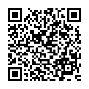 但是……如果真的面临濒死边缘……而你自己又不想死的时候二维码生成