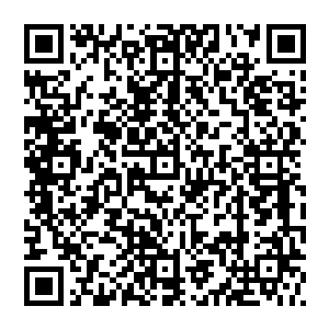 但是 五大金丹的自爆 又怎么可能如此轻易的掌控 老者他脸色苍白 似乎在极力控制着 但依旧有些力不从心二维码生成