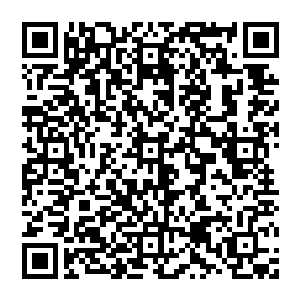 但是 就是这样一个人 却让赵纯良感到了巨大的危机 而在这股危机之下 赵纯良似乎感受到了一点点的…兴奋二维码生成