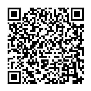 但是・・・・・・今天却冒出了一个底蕴深厚的隐世家族弟子问起许家……二维码生成