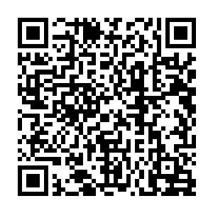 但是一个个普通质朴的词语里却体现了句句行行里书里的感情的细腻和大气二维码生成