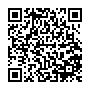 但是一家鱼类不断死去游客门可罗雀的海洋馆难道有资格竞争吗二维码生成