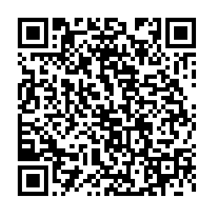 但是不到半秒的时间就和那道流光一样的剑光实实在在的接触到了二维码生成