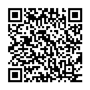 但是不是他一直在找的可以在树根下生出木元结晶的木元祖树呢二维码生成