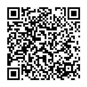 但是不是用阵法还有小金的帮忙的话最后的战斗结果还真的很难料二维码生成