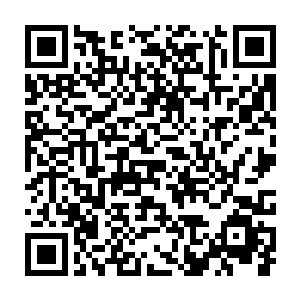 但是不能不承认这个建筑商在绿化构架上还是花了一些心思和血本二维码生成