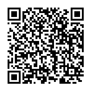 但是主人你有百分之百的把握可以肯定自己一定能找到龙族宝藏吗二维码生成