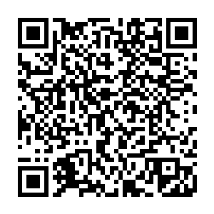 但是九劫不空化形劫却是实打实的啊……这等于从天道哪里拿了一张通行证二维码生成