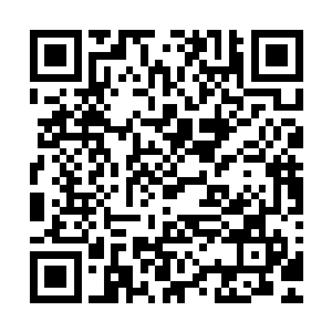 但是也不至于会在执行自己给他的任务期间带一个陌生人回来二维码生成