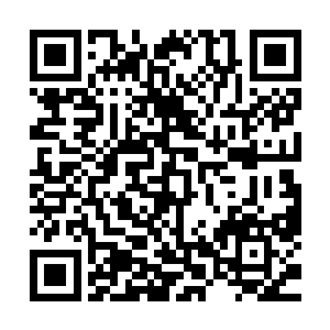 但是也可以束缚到刚刚到筑基初期可是修为有些不太稳的修士二维码生成