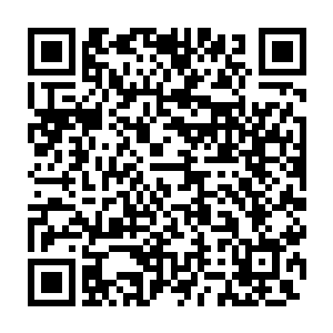 但是事实上他们以及他们的家族离开朝政和权力都已经太过遥远了二维码生成
