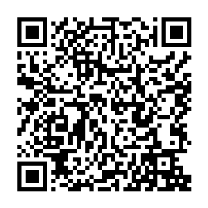 但是五岁的小包子也未必能完全领会王爷和皇帝这个词到底有什么样的天差地别二维码生成