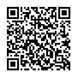但是人族和狼人结合的战线韧性仍然远远超出翡翠海狼人的预料二维码生成