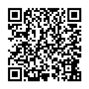 但是仍然在达到妖兽群中间的时候被飞行妖兽拦住了去路二维码生成