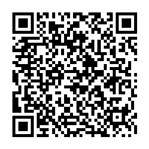 但是从上面散发出的那恐怖的能量波动却让他感受到了一股浓郁的死亡的气息二维码生成