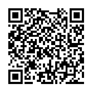 但是从他们紧绷的身体便不难看出他们对于这个突然出现的二维码生成