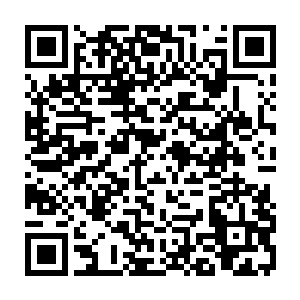 但是从山崖上跳下去无论再怎么小心还是被凸出的树枝撞的内伤外伤不清二维码生成