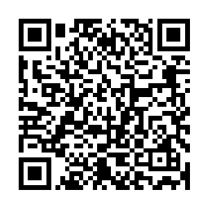 但是从未像是林封谨这样可以掰开揉碎一五一十的剖白给他听二维码生成