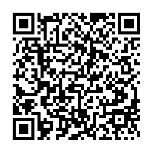 但是他也从来没有把中华玄学促进会的任何势力引入中华道盟的想法二维码生成