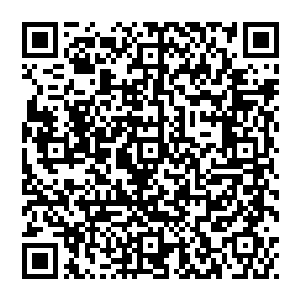 但是他也没想到不过是一夜之间会有这么多科技界的大佬像是商量好了一样集体专门跑来华夏要求跟他谈合作二维码生成