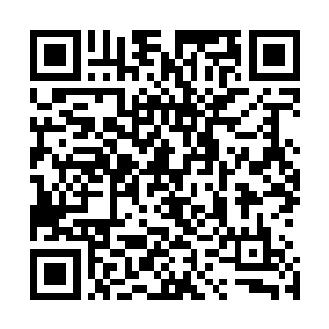 但是他从蔡亚琴的眼中看到了和自己一样的茫然和思维停滞二维码生成