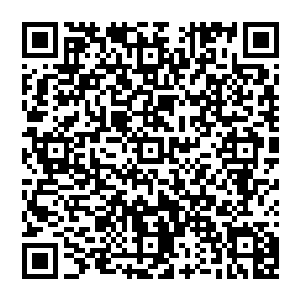 但是他们一入目看到的竟然是……一袭红衣绝艳的少女再次将一枚拇指大小的丹药朝着一座宫殿扔了下去二维码生成