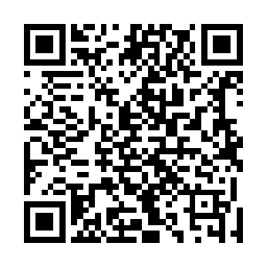 但是他们心里却已经把凌菲摆到了和虎神相互连接的位置二维码生成