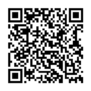 但是他们怎么也不相信许紫烟在修为上超过他们二维码生成