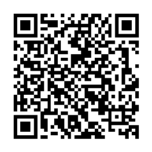 但是他们现在不得不将重心转移在红光黯淡了许多的蜥蜴身上二维码生成