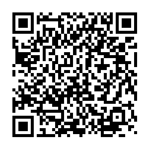 但是他们现在的笑容不再是诡异的笑容而是小孩本该有的天真的笑容二维码生成