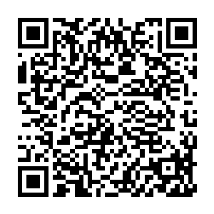 但是他们的九毫米冲锋枪弹威力实在不足以穿透挡在林锐身前的这个人二维码生成