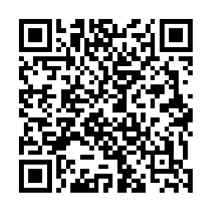 但是他们的民族荣誉感却是让秦方也是忍不住敬佩一下的二维码生成