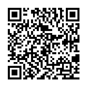 但是他们谁也没想到半路杀出了一位和超血皇同一等级的大叔二维码生成