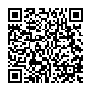 但是他到底是如何控制的这么多猫和狗一起出发而没有发生混乱二维码生成
