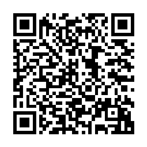 但是他发现自己的注意力主要是观察着厨师在每一步用的时间二维码生成