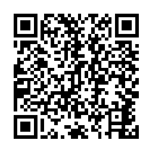 但是他感觉得到莫计成还是被宋州的这个规划构想给触动了二维码生成
